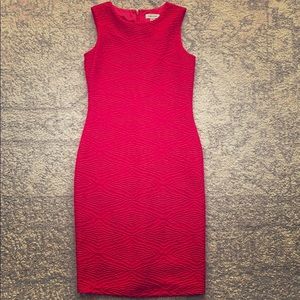 Stretch Calvin shift sz 2